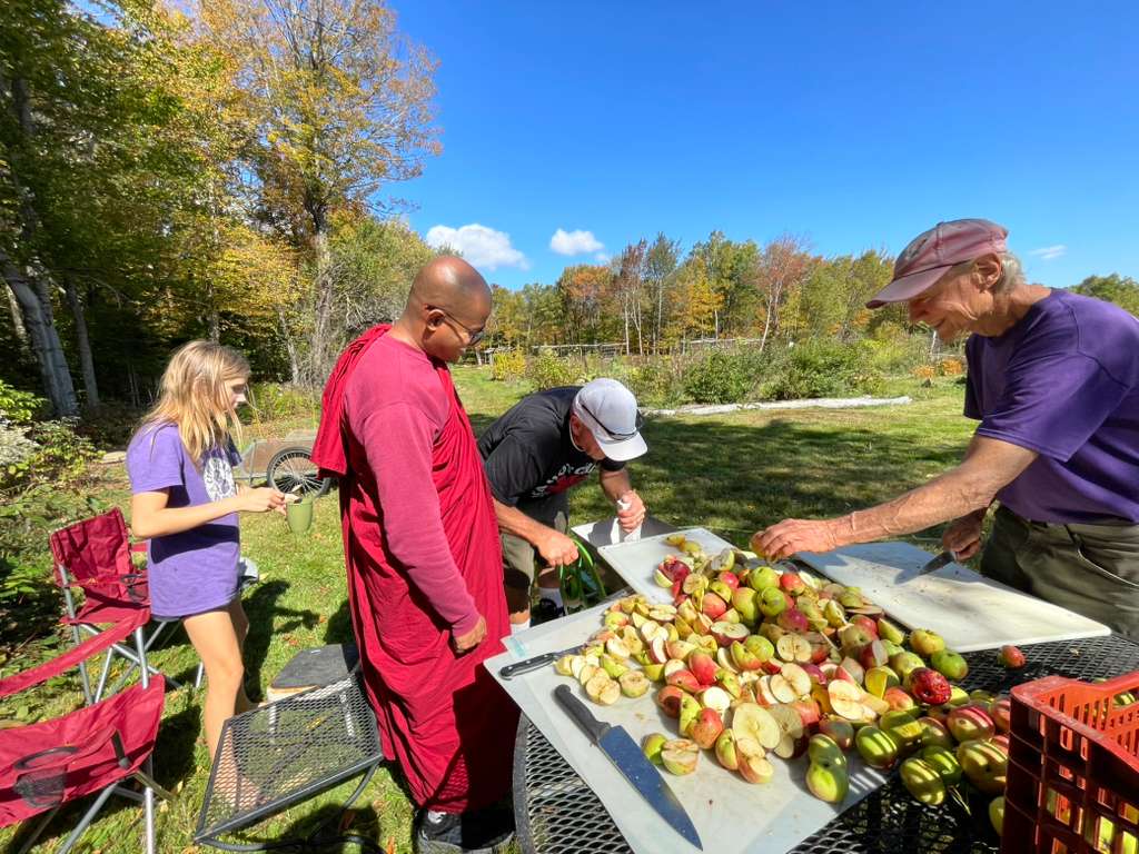 Apple Cider Making